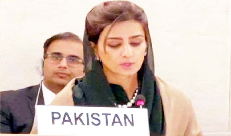 भारत ने पाकिस्तान पर लगाया संयुक्त राष्ट्र मंच के दुरुपयोग का आरोप