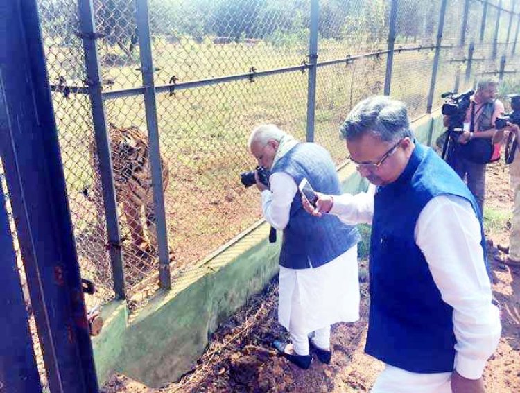 पीएम मोदी ने बांदीपुर सैंक्चुरी में जंगल सफारी उठाया लुत्फ