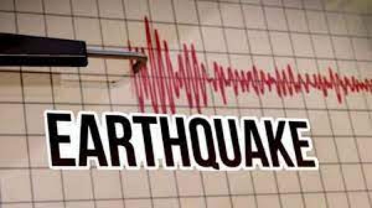 न्यूजीलैंड के केरमाडेक द्वीप समूह पर 7.1-तीव्रता का भूकंप झटका