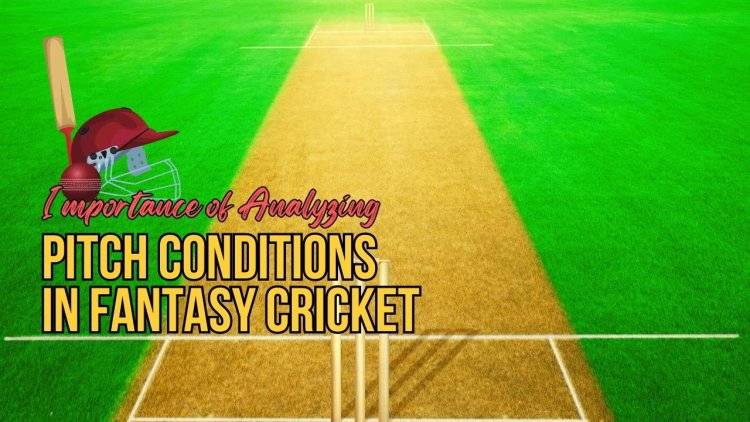 The importance of analyzing pitch conditions in Fantasy Cricket