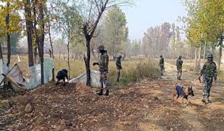 जम्मू कश्मीर में सुरक्षा बलों ने शुरू किया तलाशी अभियान