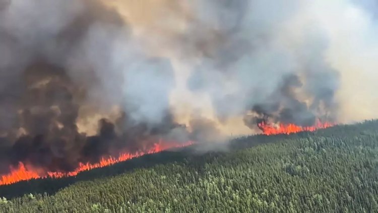 कनाडा में 10 और जंगलों में लगी आग