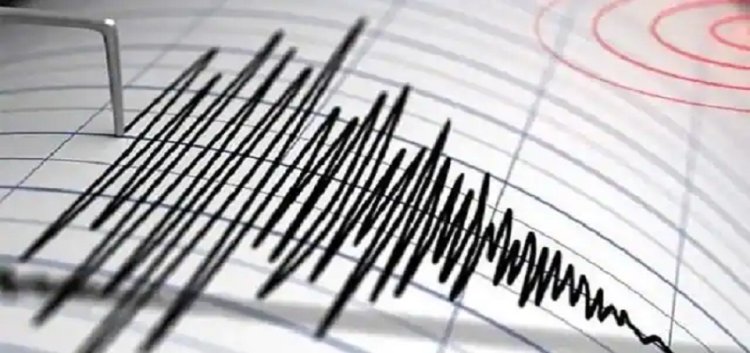 न्यू आयरलैंड, पापुआ न्यू गिनी में भूकंप के तेज झटके