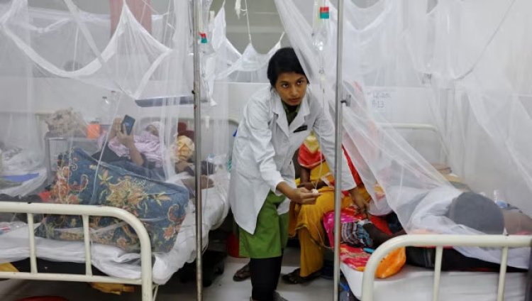 वियतनाम में इस साल डेंगू के लगभग 100,000 मामले सामने आए