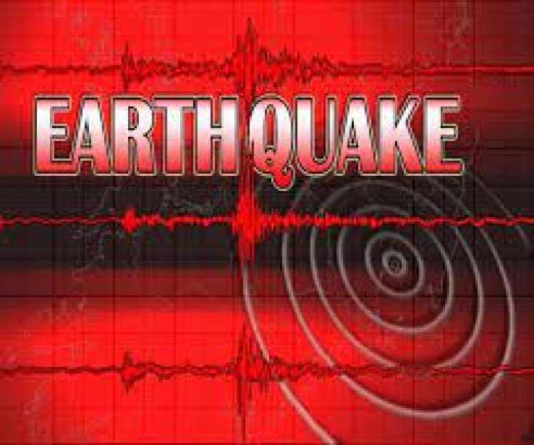 केरमाडेक द्वीप क्षेत्र में भूकंप के तेज झटके