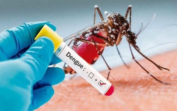 बंगलादेश में डेंगू से इस साल 1,400 की मौत, 3,00,000 लोग संक्रमित
