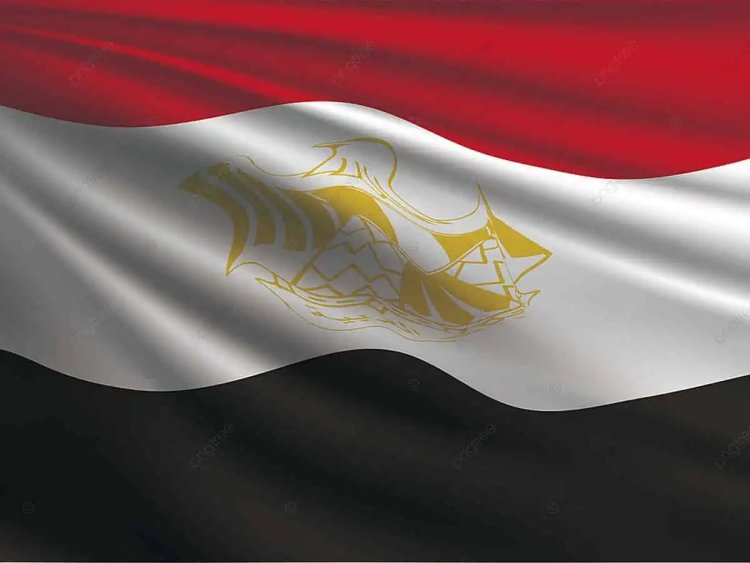 मिस्र चुनाव राष्ट्रपति पद के लिए मिस्र में मतदान शुरू  लघु उद्योग सेवा संस्थान  की जीत लगभग तय