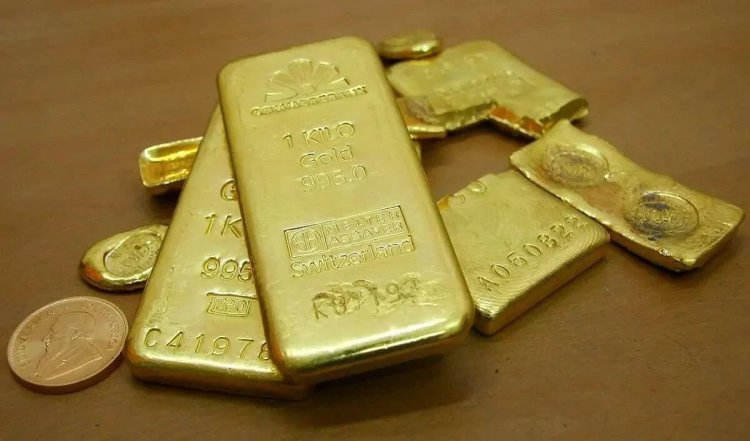 सीमा शुल्क अधिकारियों ने 1.96 करोड़ रुपये मूल्य की सोने की 27 छड़ जब्त कीं