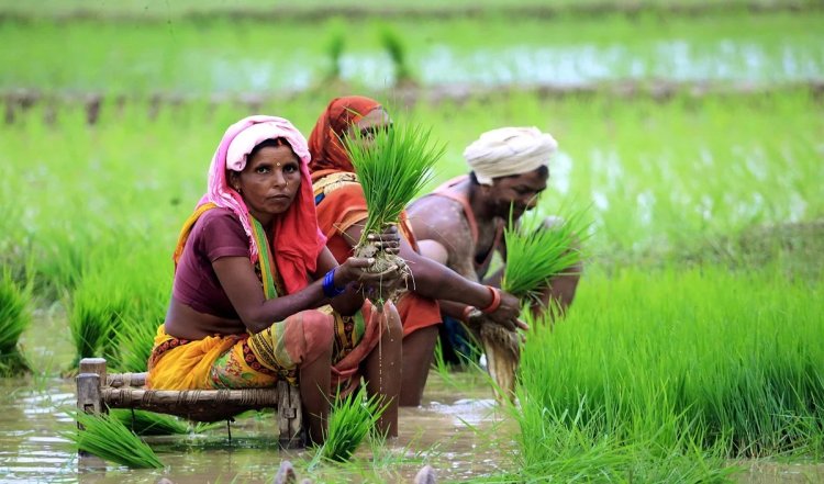 पीएम-किसान योजना के तहत पश्चिम बंगाल को 6,466.58 करोड़ रुपये जारी किए गए: अधिकारी