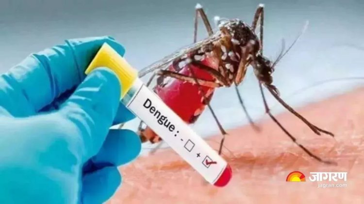 श्रीलंका में डेंगू के 5000 से अधिक मामलों की पुष्टि