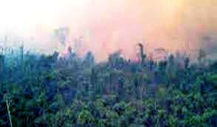 बोलीविया में 74 शहरों में जंगल की आग को लेकर ऑरेंज अलर्ट जारी