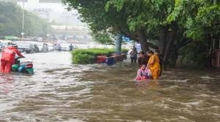 तेलंगाना में भारी बारिश से मचा हाहाकार, मुख्यमंत्री ने मांगा 'राष्ट्रीय आपदा' का टैग